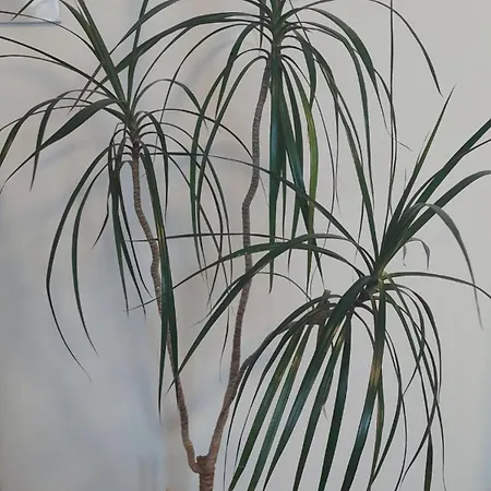 A In The Heart Of Clare Дом отдыха *