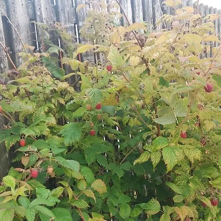 A In The Heart Of Clare Vakantiehuis Ennis