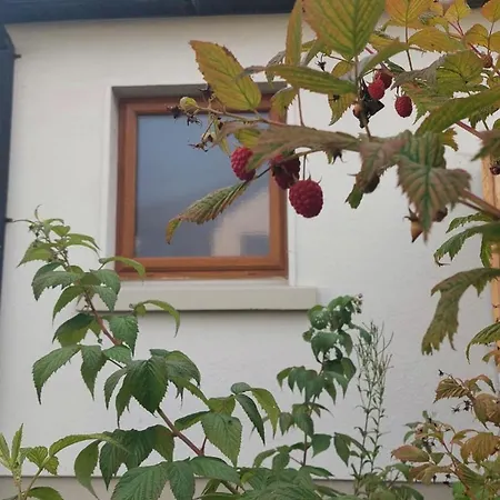 A In The Heart Of Clare *