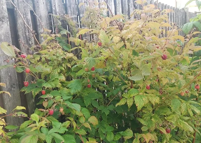 A In The Heart Of Clare Vakantiehuis Ennis