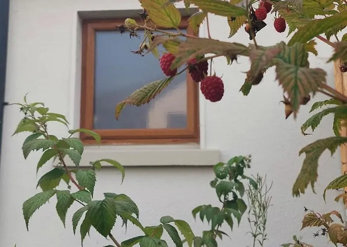 A In The Heart Of Clare *